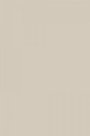 FARROW AND BALL ELEPHANTS BREATH NO. 241 PAINT